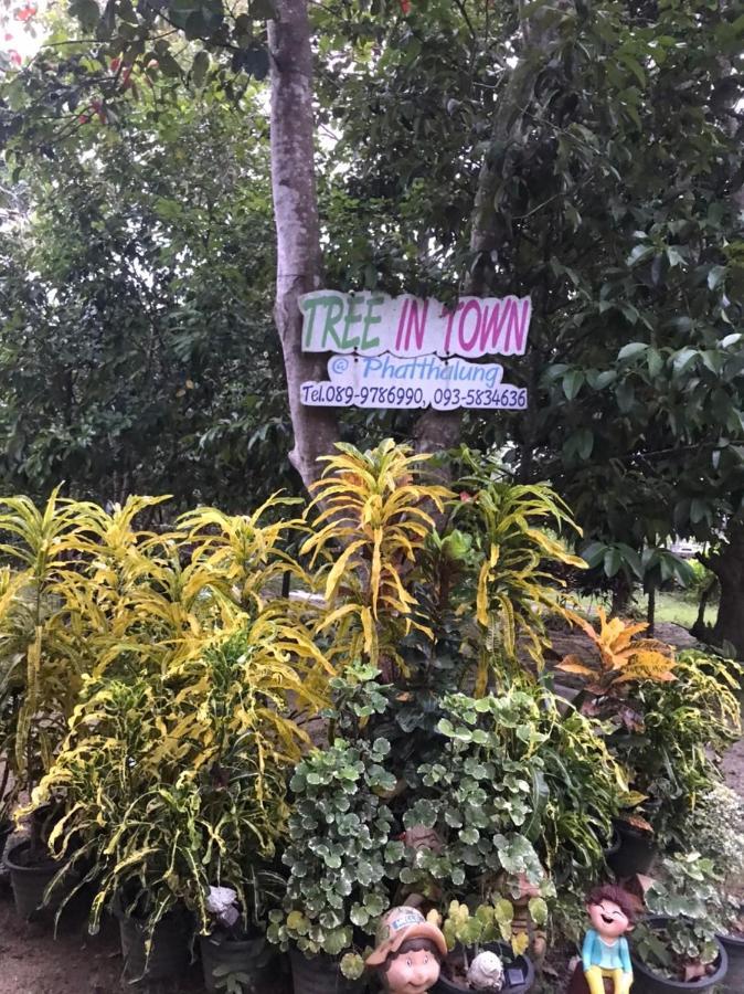 הוילה פאתאלונג Tree In Town ทรีอินทาวน์ מראה חיצוני תמונה